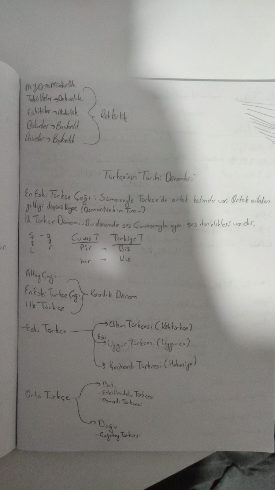 Sayfa 1