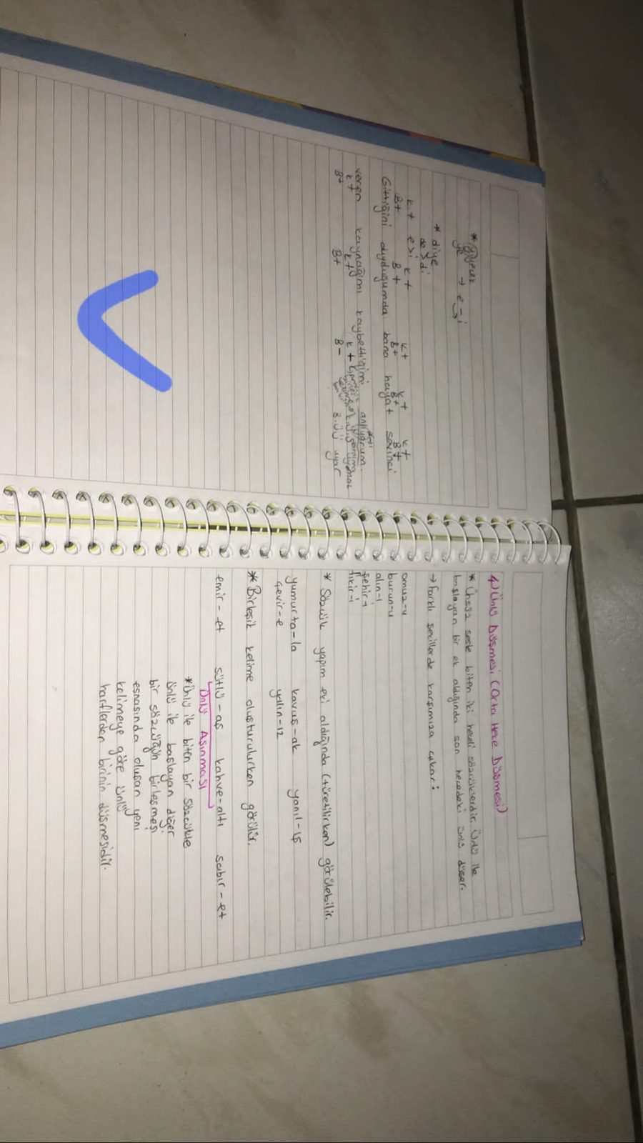 Sayfa 5