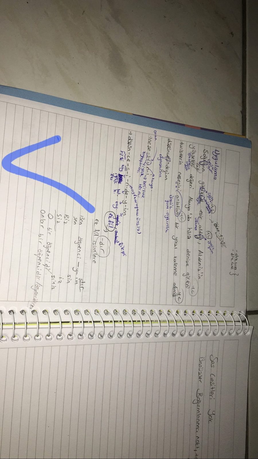 Sayfa 6