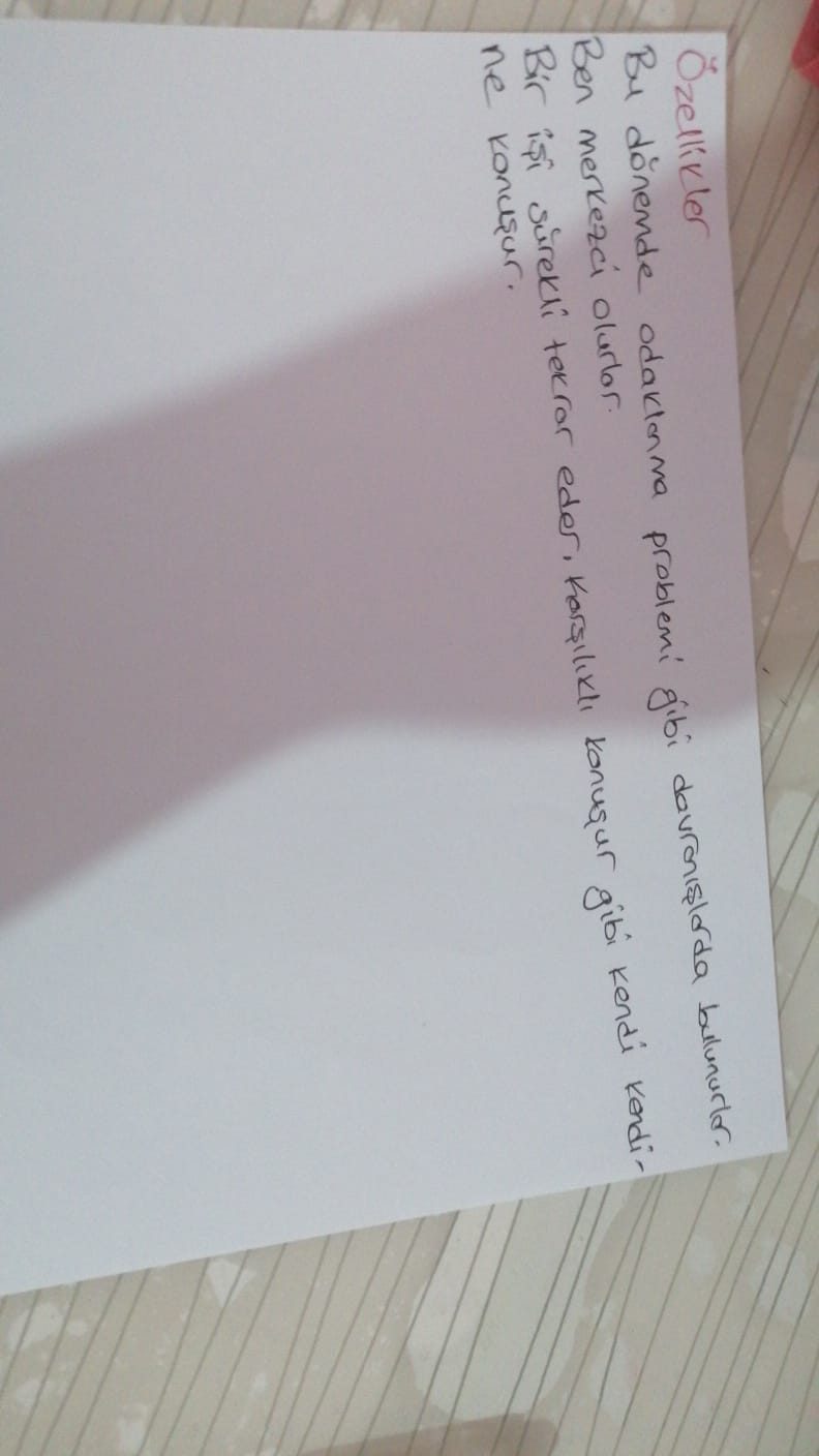Sayfa 4