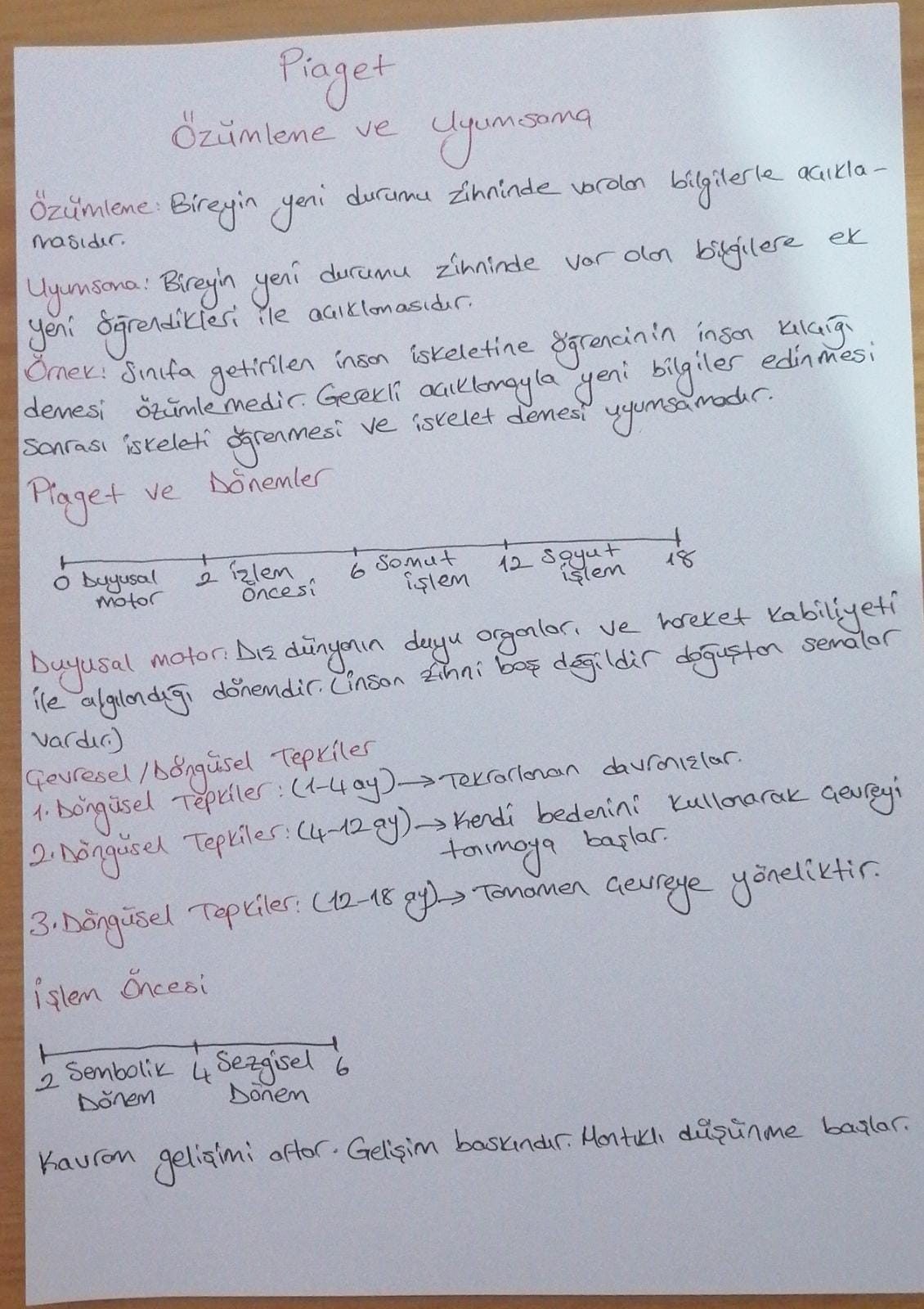 Piaget Bilişsel Gelişim Kuramı: Şema, Özümleme, Uyumsama ve Gelişim Dönemleri - Sayfa 7
