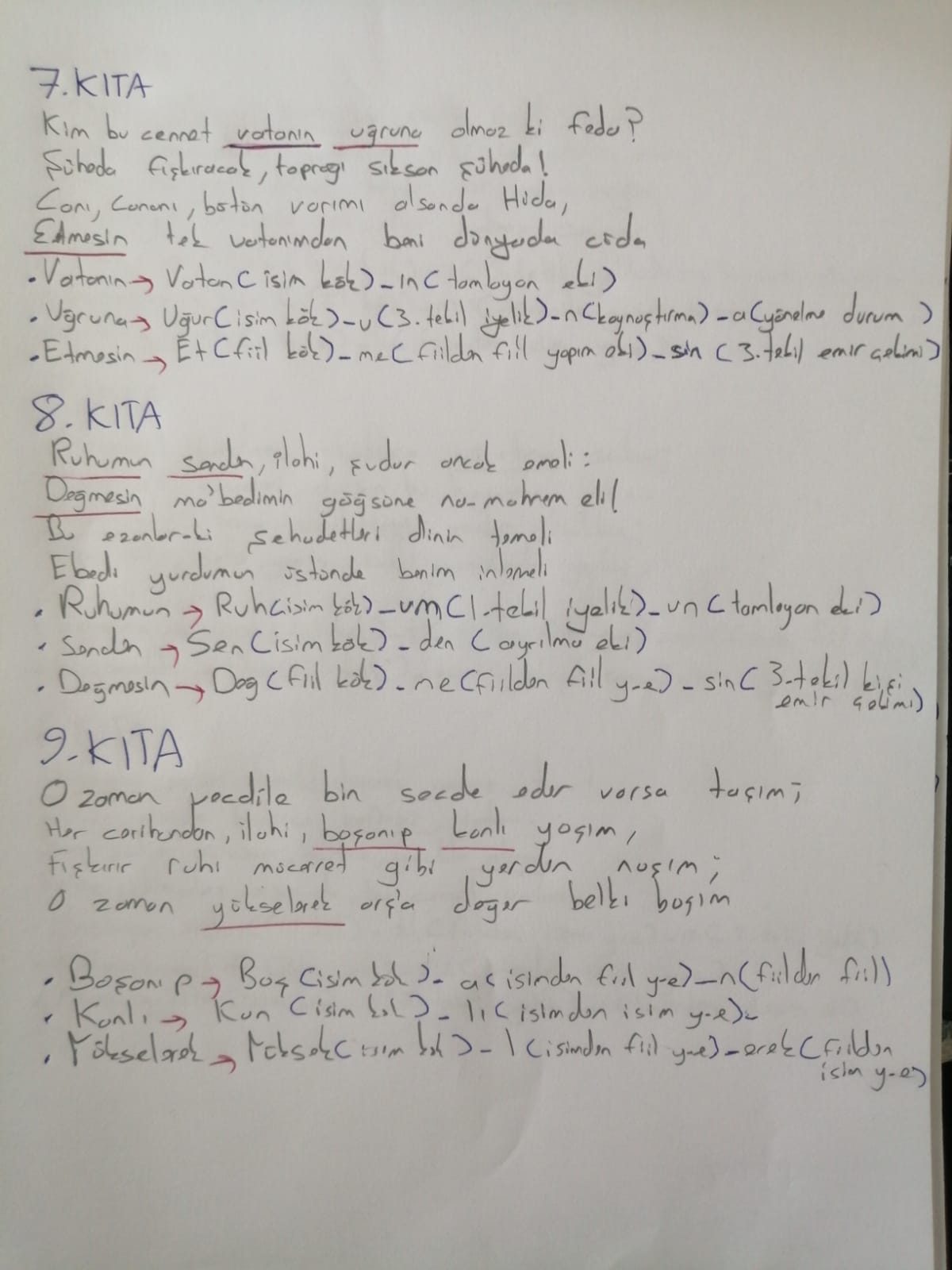 Eğitim Psikolojisi: Piaget ve Vygotsky'de Dil ve Zeka Gelişimi - Sayfa 49