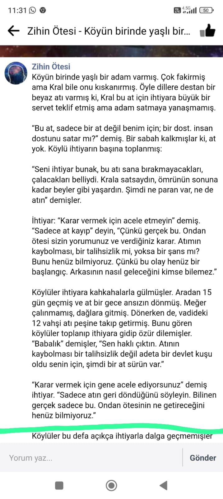 Sayfa 2