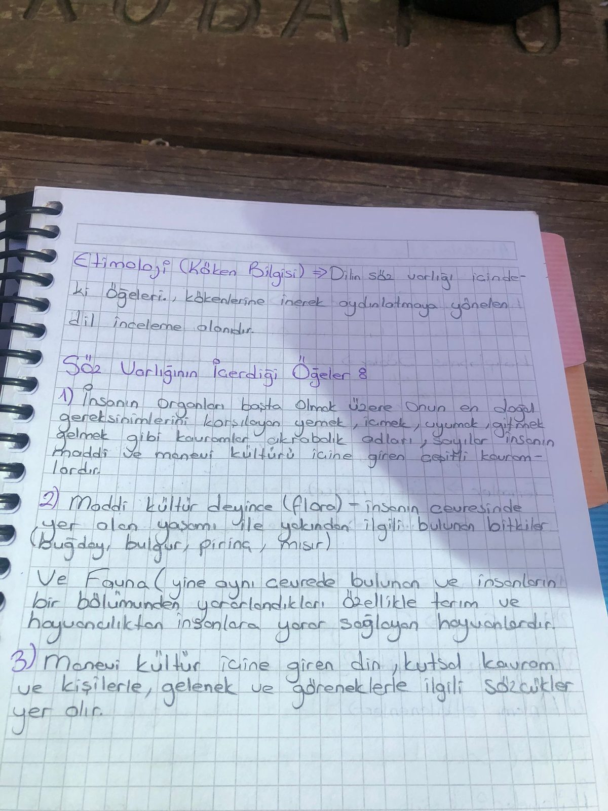Çoklu Zeka Kuramı ve Noktalama İşaretleri Öğretim Etkinlikleri - Sayfa 12