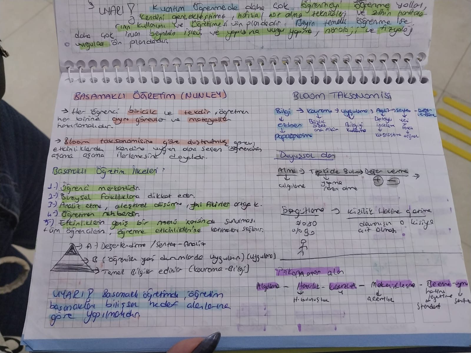 Beyin ve Dil Gelişimi: Broca ve Wernicke Alanları, Konuşma Merkezi - Sayfa 7