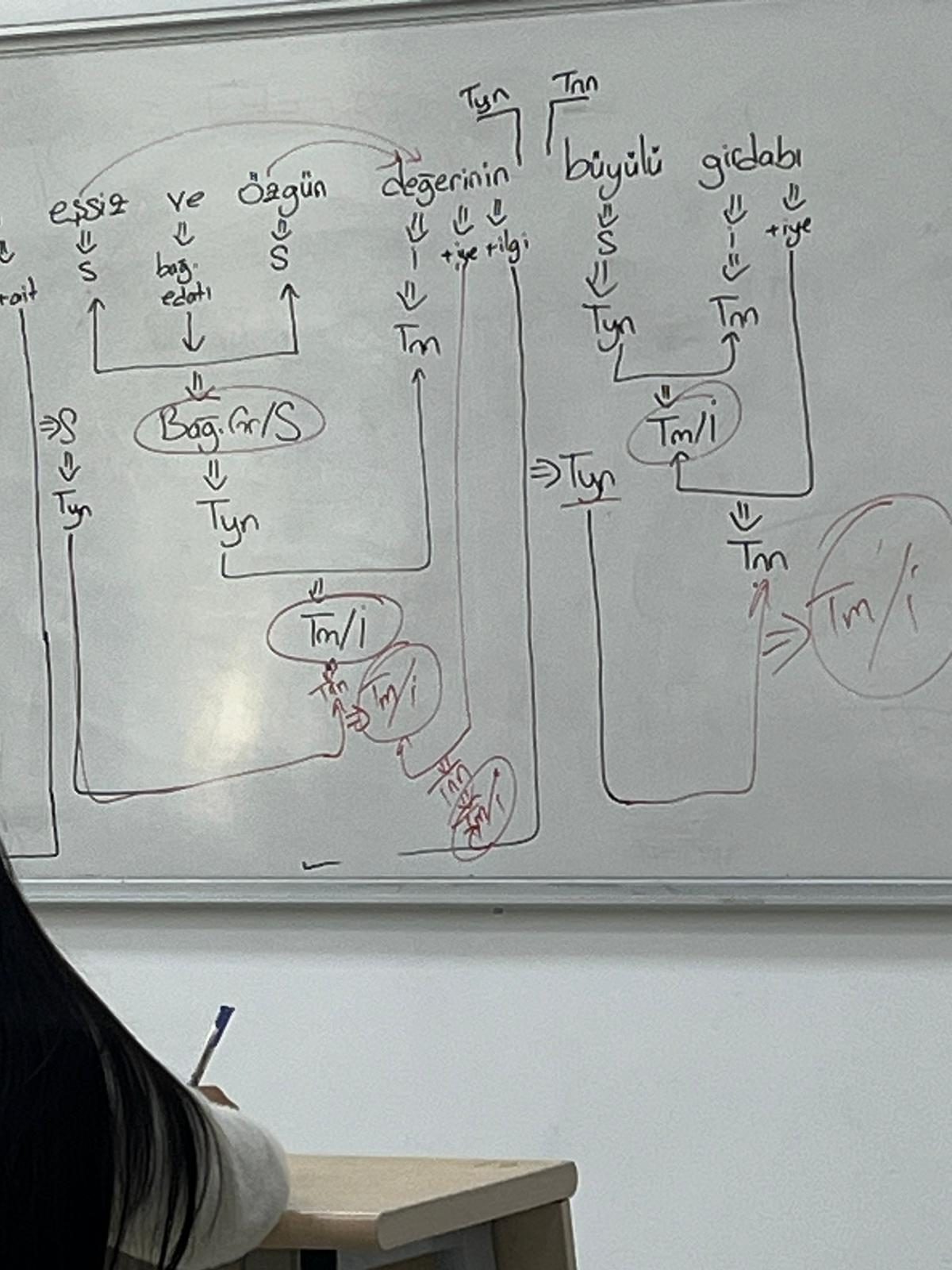 Osmanlı Dönemi Eğitim Kurumları: Medreseler ve Sıbyan Mektepleri - Sayfa 10