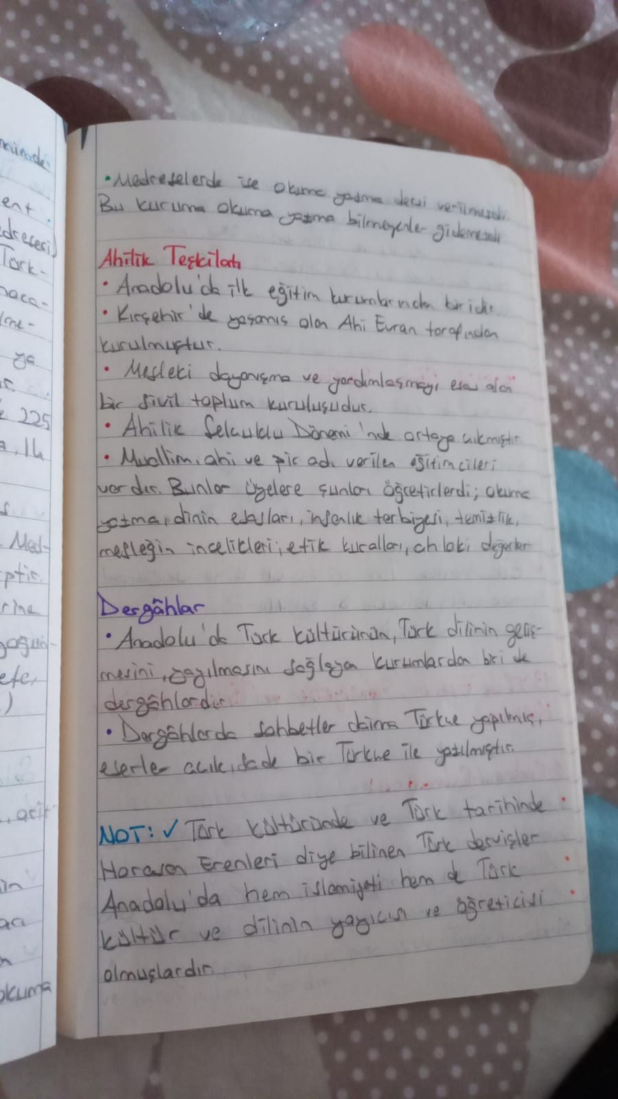 Klasik Türk Edebiyatı: Mevlana, Yunus Emre ve Mesnevi İncelemeleri - Sayfa 13