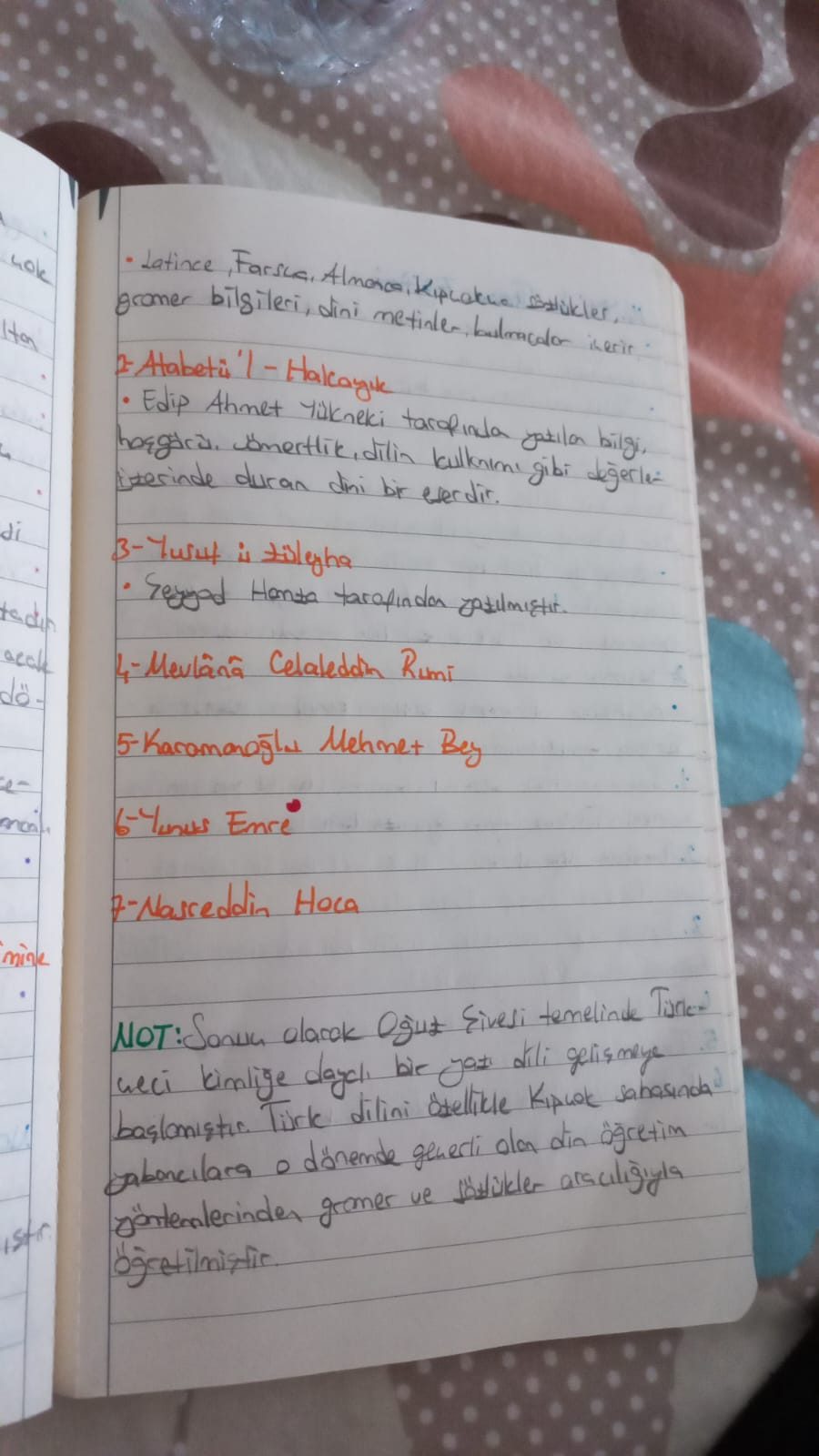 Klasik Türk Edebiyatı: Mevlana, Yunus Emre ve Mesnevi İncelemeleri - Sayfa 14