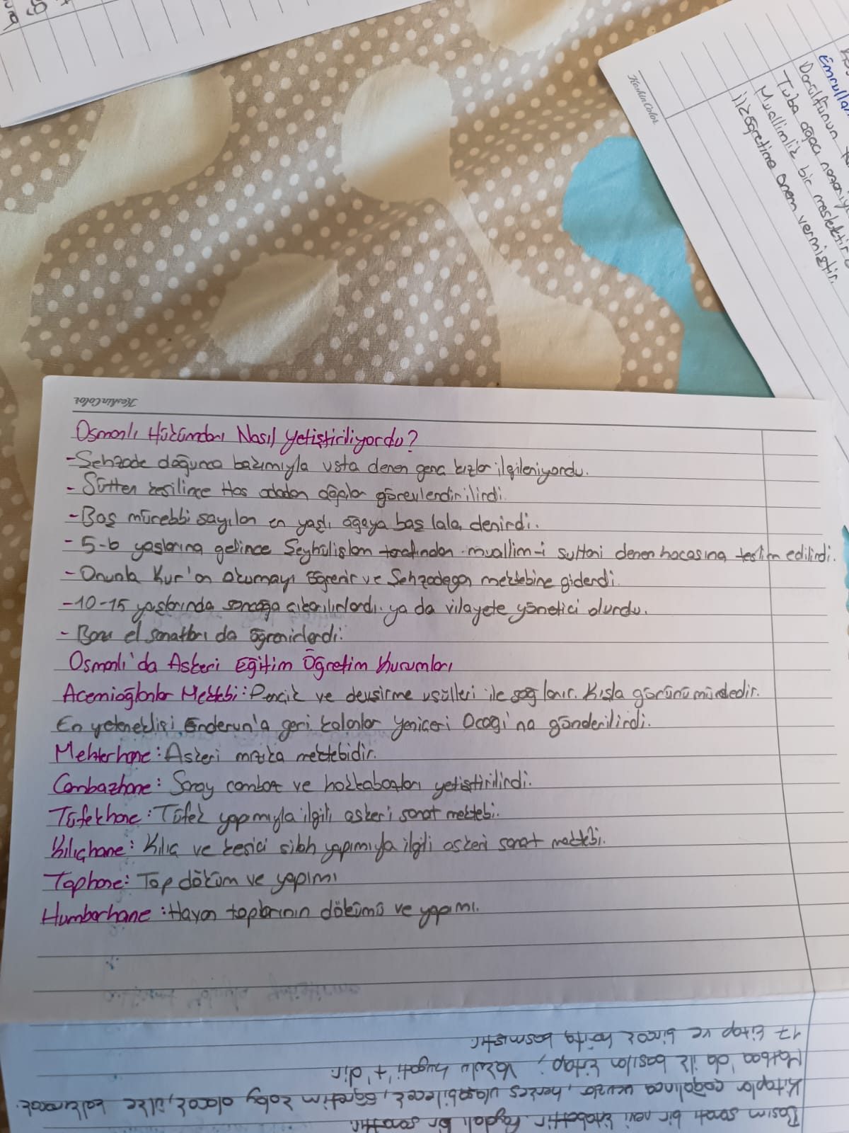 Meşrutiyet ve Cumhuriyet Dönemi Eğitim Reformları ve Mektepler - Sayfa 15
