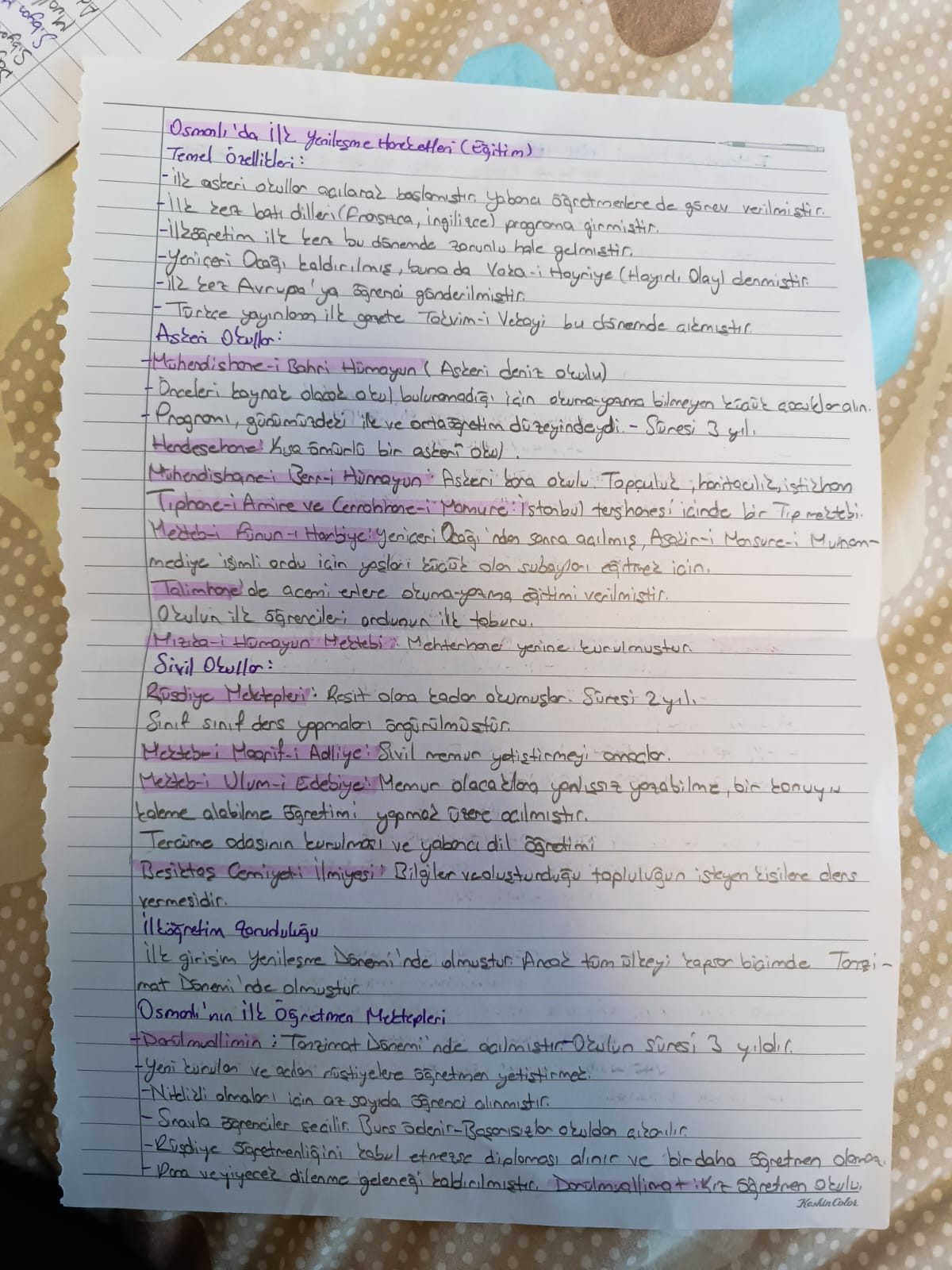 Meşrutiyet ve Cumhuriyet Dönemi Eğitim Reformları ve Mektepler - Sayfa 18