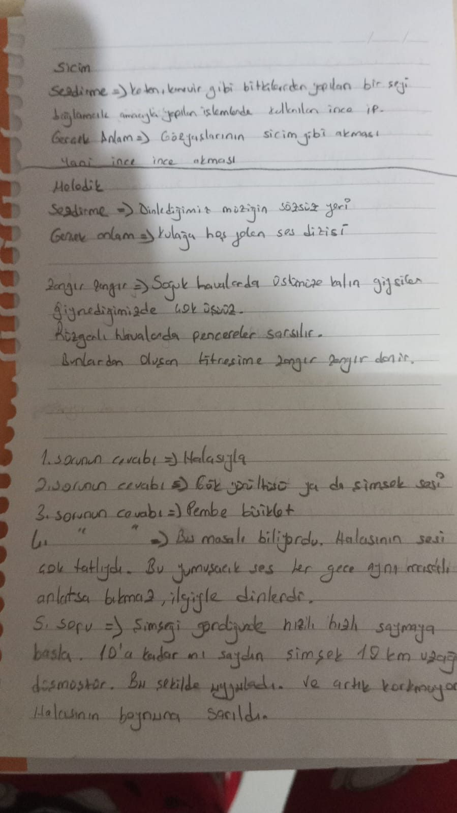 Sayfa 6