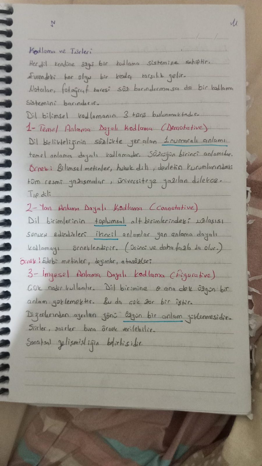 Sayfa 1