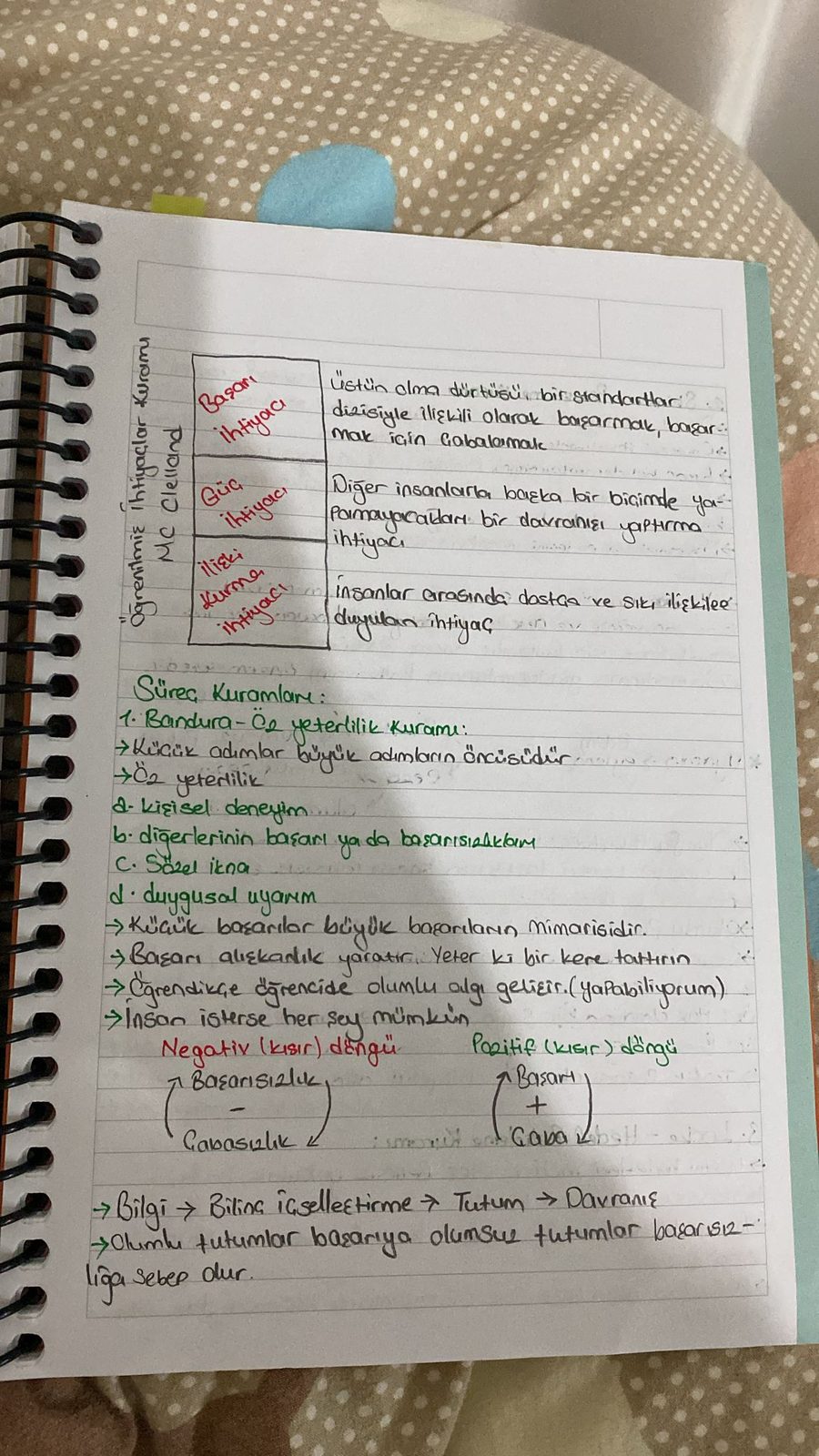 Özel Eğitim: 4 Aşamalı Davranış Kontrolü ve Sağaltım Planı - Sayfa 28