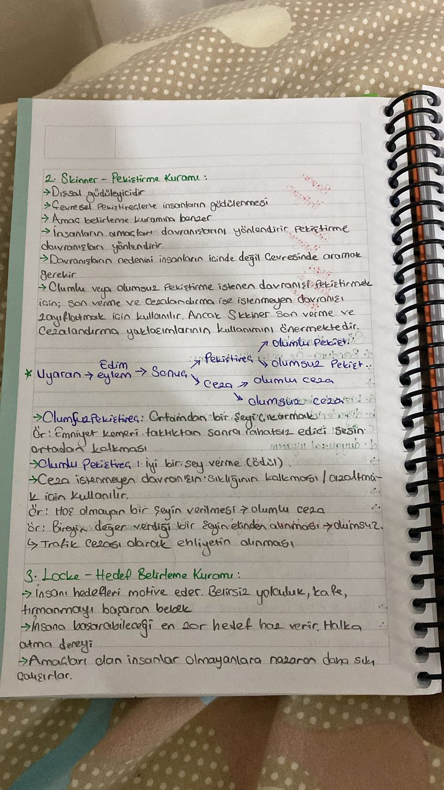 Özel Eğitim: 4 Aşamalı Davranış Kontrolü ve Sağaltım Planı - Sayfa 29