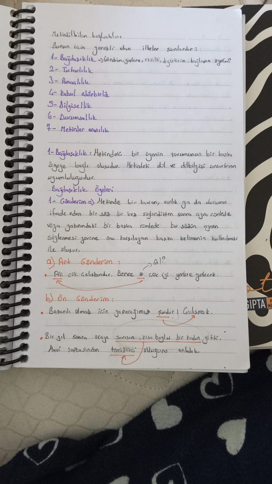 Sayfa 5