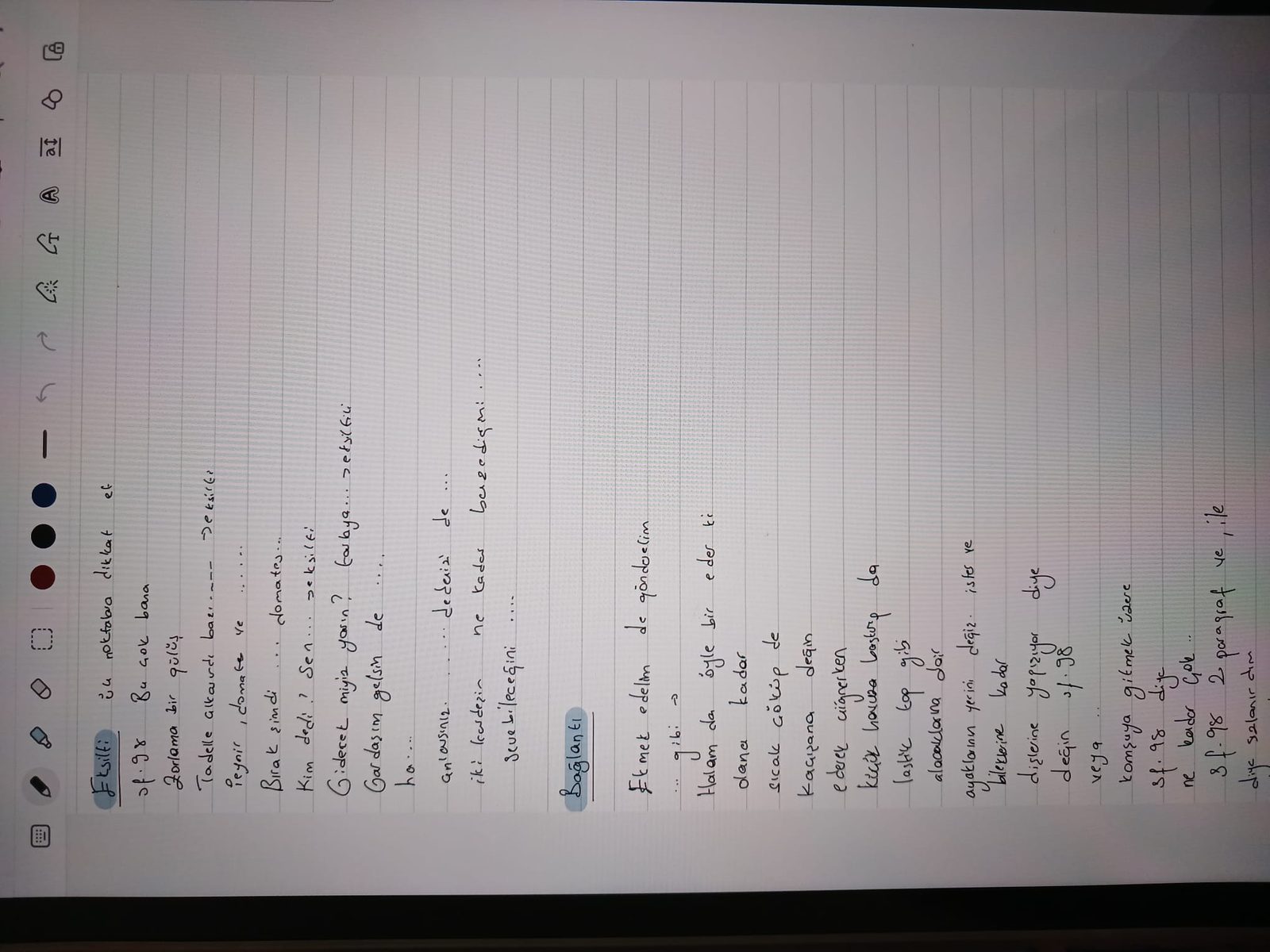 Sayfa 2