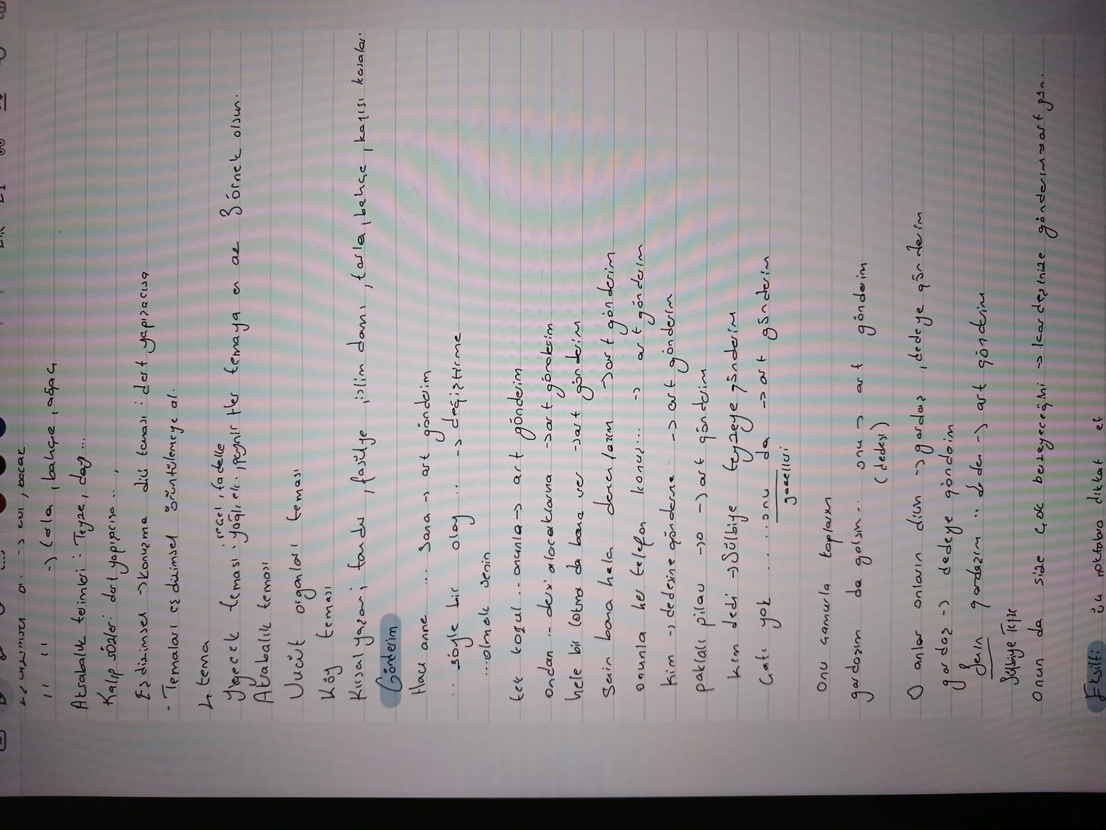 Sayfa 6