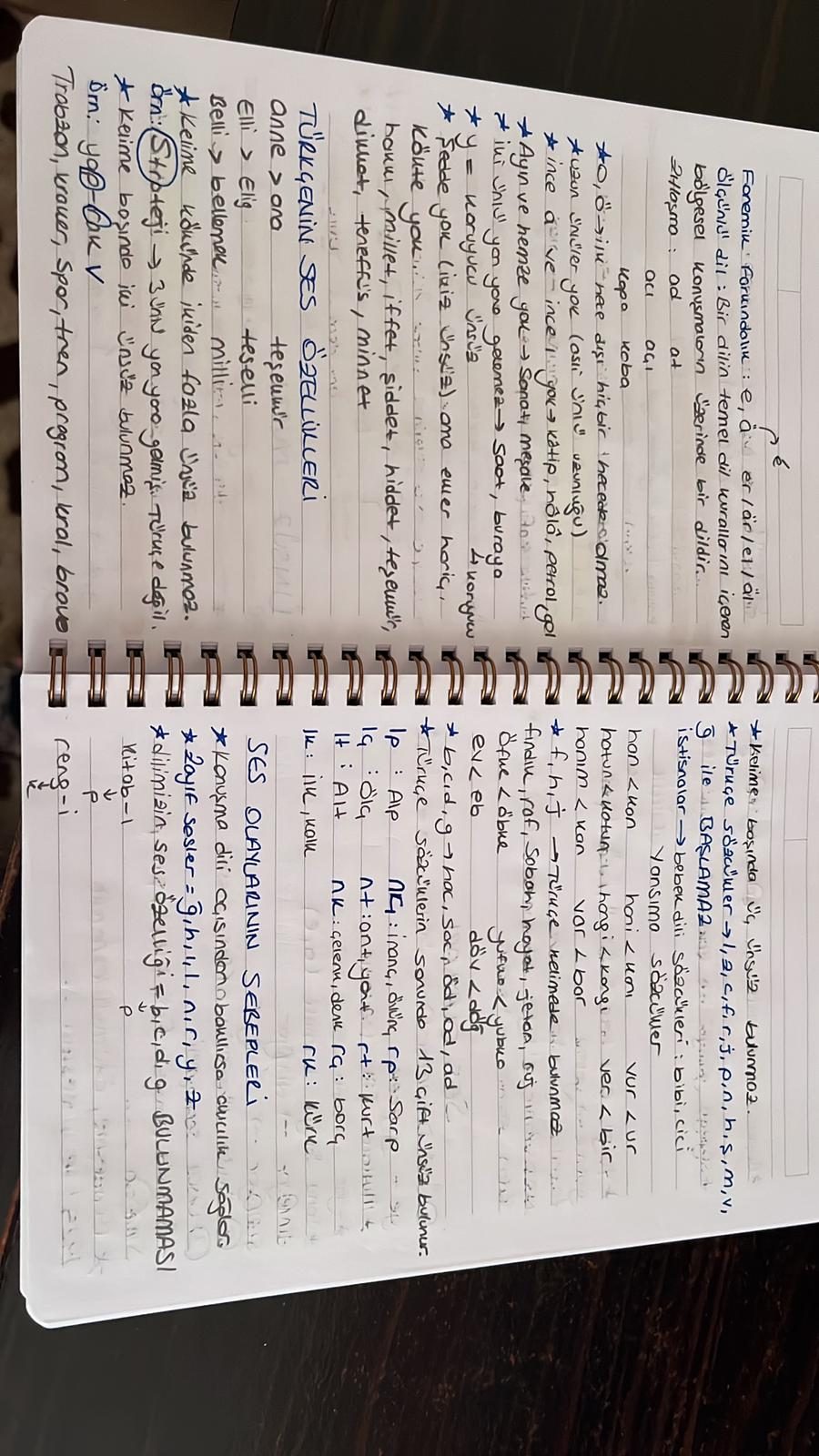 Sayfa 6