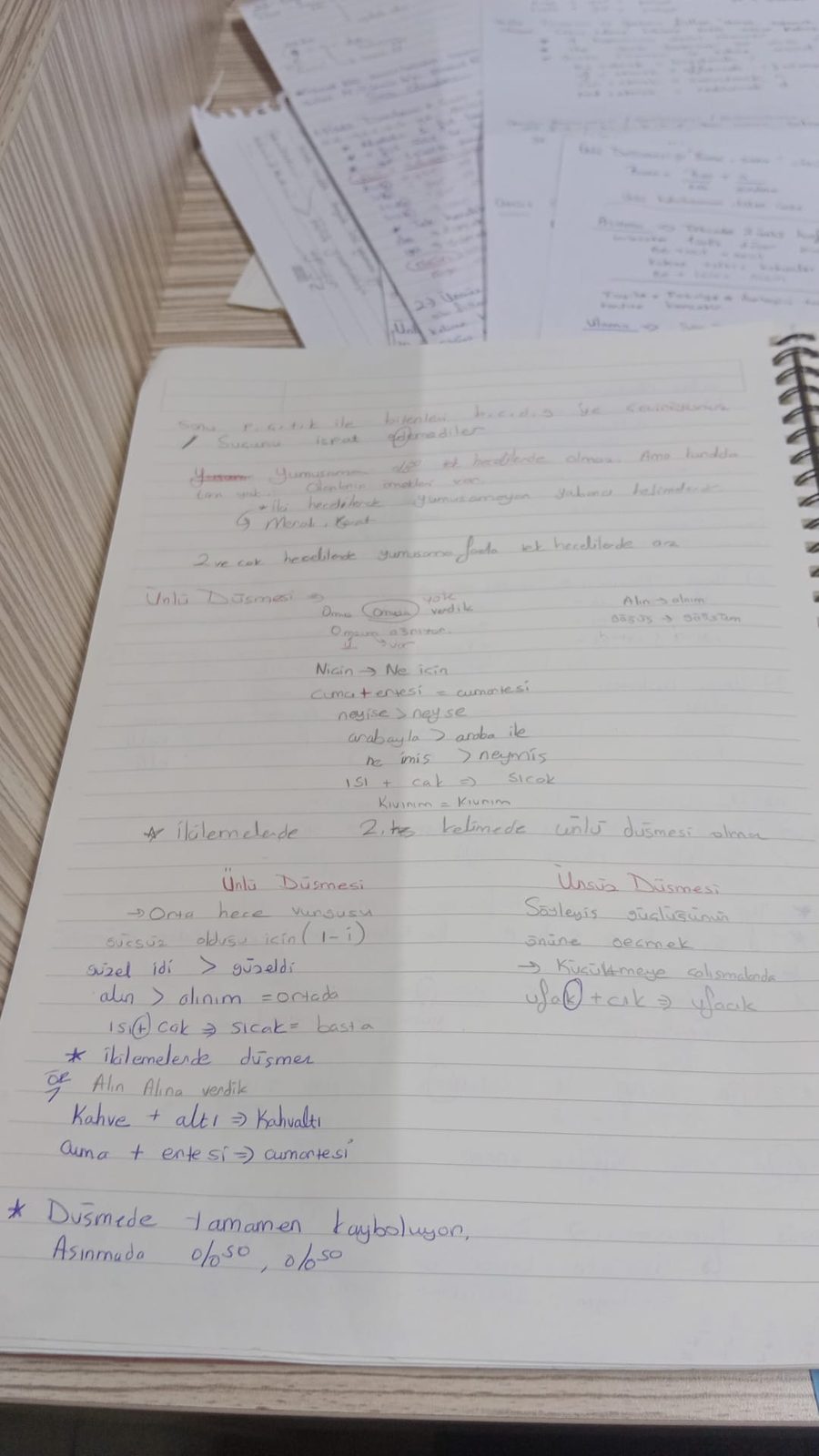 Ses Bilgisi: Ses Olayları ve Vurgu Kuralları - Sayfa 12